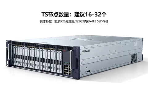 华为泰山服务器配置多少TS节点最合理，具体参数是什么？