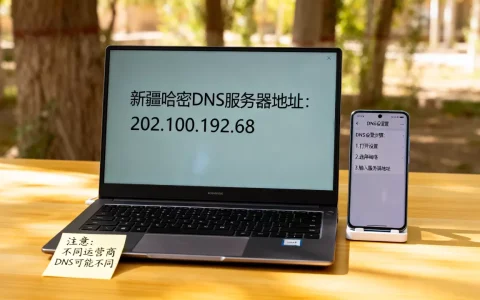新疆哈密DNS服务器是多少呢，DNS服务器地址怎么设置？