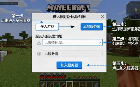 我的世界国际版tis服务器怎么进入，详细步骤有哪些？