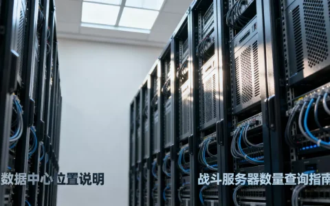 战斗服务器数量究竟有多少个，在哪里查看具体数据