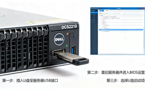戴尔DCS2210怎么选U盘启动，服务器U盘启动怎么设置？