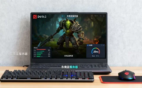 steam dota2东南亚服务器怎么打，需要加速器吗？