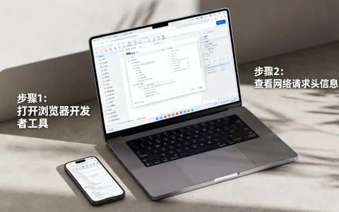 如何查看网站使用的web服务器，服务器类型怎么查