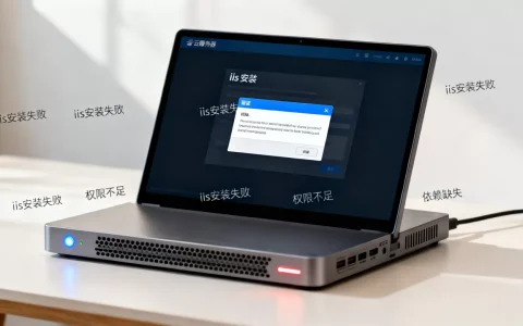 云服务器安装iis功能失败如何解决，安装失败的常见原因有哪些？