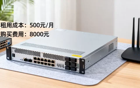 域名服务器多少钱一个，租用还是购买更划算？
