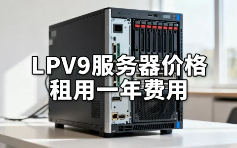 LPV9服务器多少钱一台，服务器租用一年多少钱？