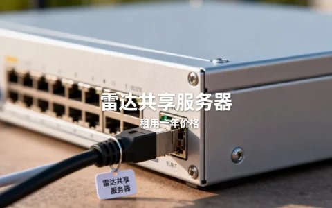 雷达共享服务器多少钱，租用一年价格贵不贵？