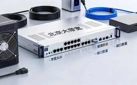 北京大带宽服务器租用怎么计费，有哪些收费模式？