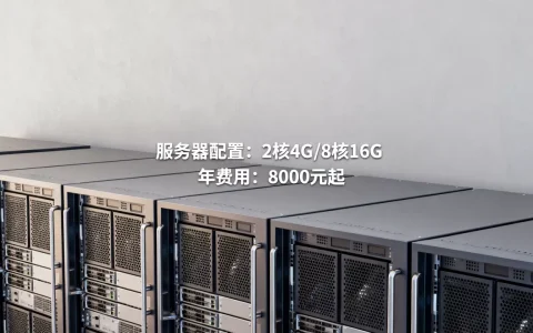 飞讯服务器租用一般多少钱，一年费用大概多少？