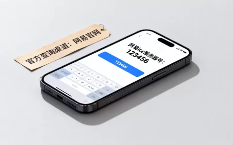 网易ice服务器号是多少，在哪里查最准确