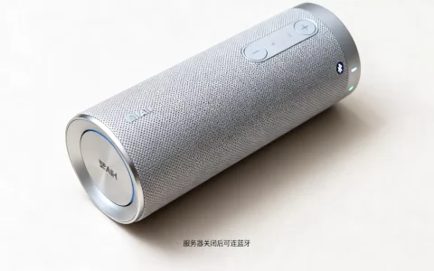 斐讯AI音箱服务器关闭后能否变普通音响，还能连蓝牙吗？