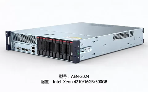 爱恩服务器价格多少钱一台，租用一年要多少钱？