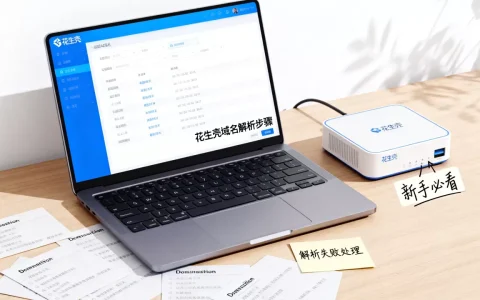 花生壳域名解析怎么用？新手必看步骤详解！花生壳域名解析失败怎么办，花生壳域名解析教程