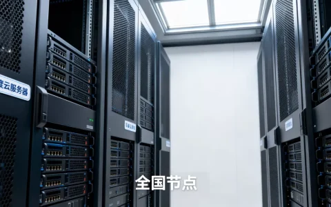 百度云全国服务器速度快不快？,哪里租便宜