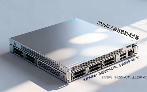 雷神云服务器多少钱一年，2026年租用价格怎么选？