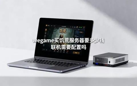 wegame买饥荒服务器要多少钱，联机需要配置吗