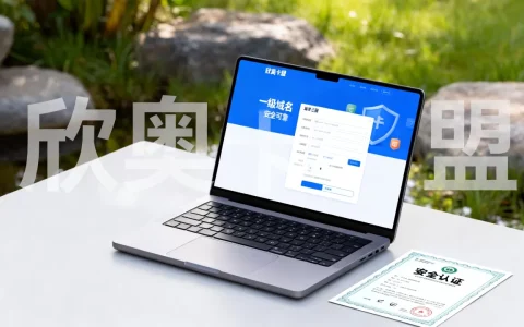 欣奥卡盟一级域名怎么找？安全可靠的域名去哪买？
