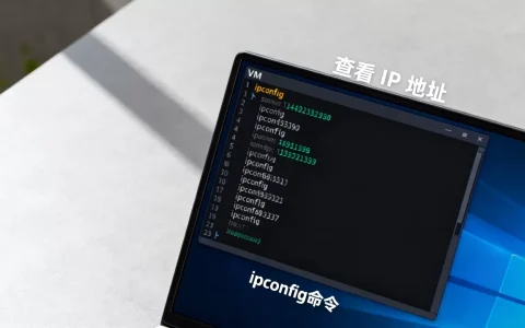 VM虚拟机里的服务器IP怎么查看，虚拟机如何查看IP地址？