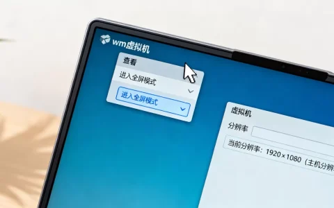 wm虚拟机全屏怎么设置，解决不了全屏问题怎么办