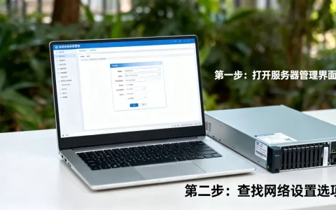 应用服务器的IP地址在哪里查看，怎么快速查询？
