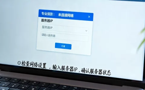 电脑显示未连接网络如何连接到服务器IP？，是什么原因？