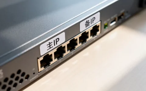域名服务器为什么有两个IP地址，两个IP地址正常吗