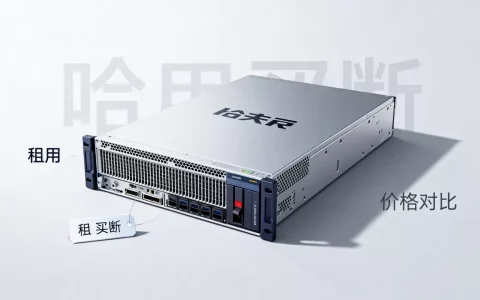 哈夫克服务器多少钱一台，租用和买断哪个划算？