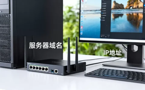 服务器域名是什么？和IP地址有什么区别？