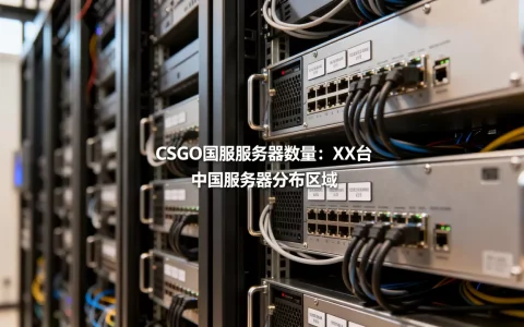 CSGO在中国到底有多少台服务器，国服服务器数量是多少？