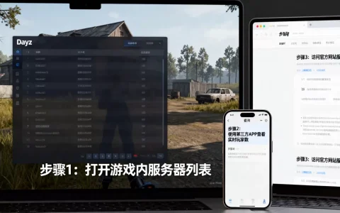 dayz怎么查服务器有多少玩家，有哪些方法？