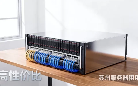 苏州国内服务器租用多少钱,哪家性价比更高