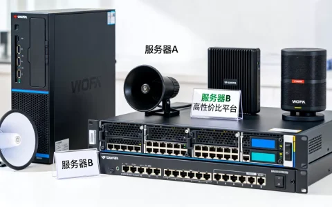 喊话功能服务器有哪些？,哪个平台性价比高？