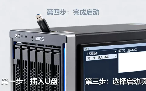 服务器如何从U盘启动，具体操作步骤是什么？