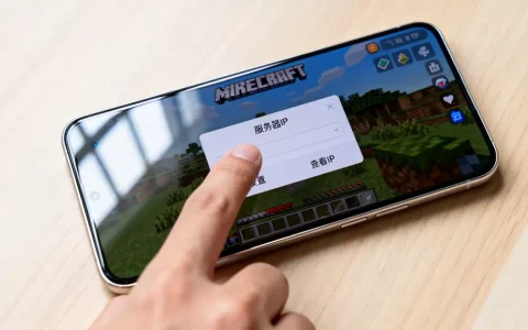我的世界手机版服务器IP地址怎么查，手机版服务器IP在哪看？