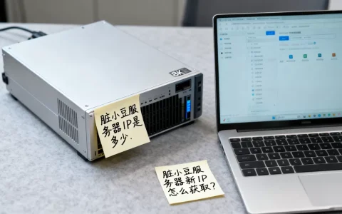 脏小豆服务器IP是多少，脏小豆服务器最新IP怎么获取？