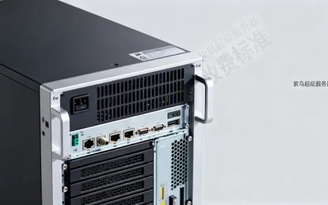 紫鸟超级服务器多少钱一台，收费标准是什么？