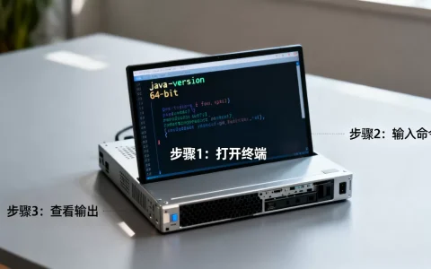 如何快速查看服务器JDK位数, 检查方法是什么