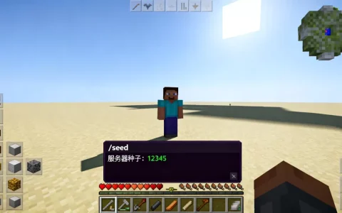 我的世界PC版怎么查看服务器种子，有哪些方法？