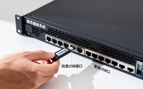 服务器装系统usb用不了怎么解决，usb启动盘无法识别怎么办