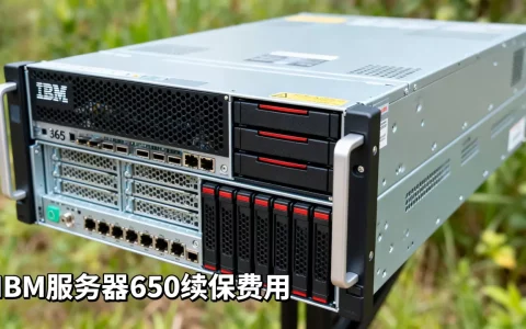 IBM服务器3650续保要多少钱，价格贵不贵？