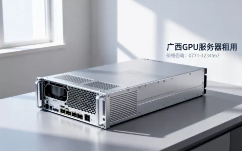 广西租用GPU服务器价格贵吗，哪家便宜？