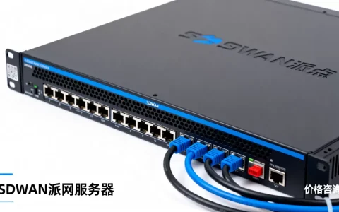 SDWAN派网服务器价格贵吗，报价是多少