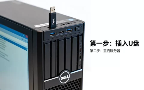戴尔服务器无法U盘启动？，怎么设置U盘启动
