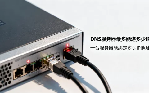 DNS服务器最多能连多少IP，一台服务器能绑定多少IP地址？
