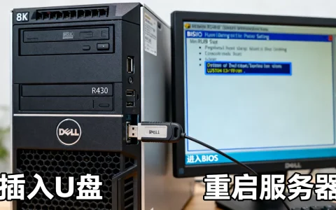 戴尔R430怎么设置U盘启动，BIOS如何设置U盘启动？