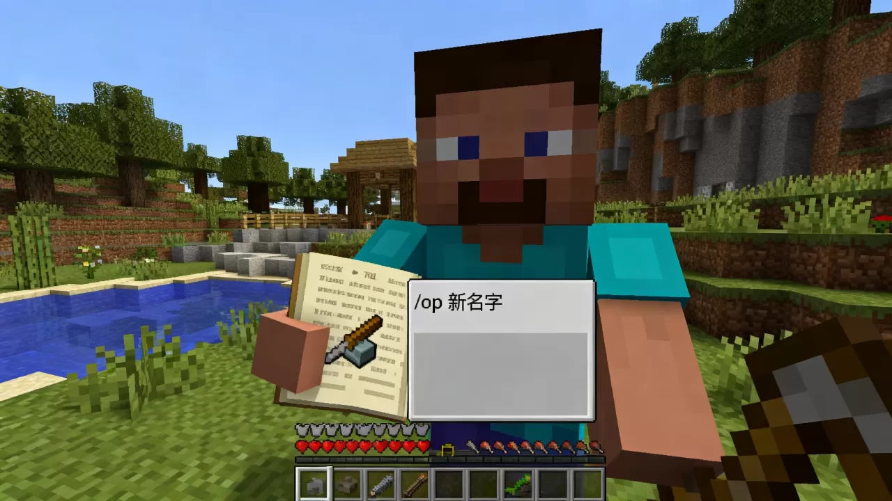 我的世界服务器OP怎么改名字,指令是什么? 我的世界服务器OP怎么改名字,指令是什么?