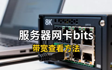 服务器网卡一般是多少bits，服务器网卡带宽如何查看？