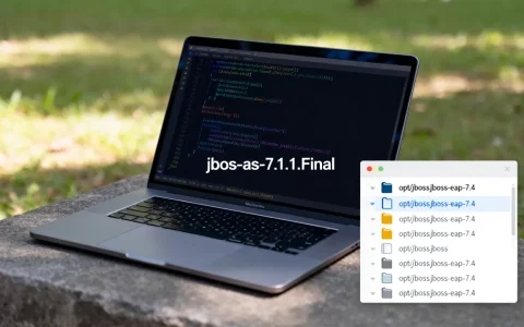 jboss应用服务器版本怎么看，如何查看jboss版本号？