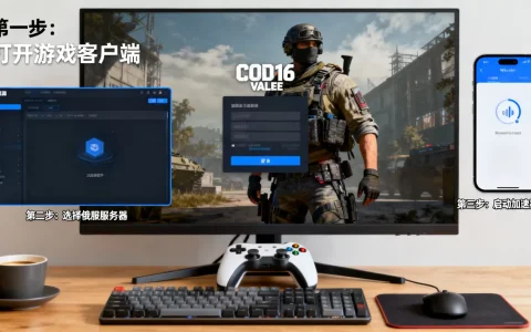 cod16战区怎么进俄服，用什么加速器？