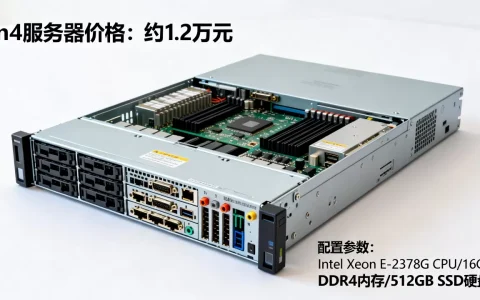 n4服务器现在多少钱一台，配置参数性能怎么样？